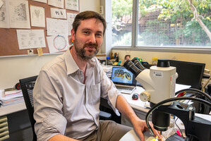 At work in his office Portrait HKU(Photo by Alex Reshikov)